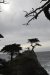 us-ca-2023-01-03-DSC7526