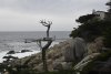 us-ca-2023-01-03-DSC7529
