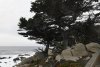 us-ca-2023-01-03-DSC7530