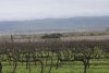 us-ca-2023-01-05-DSC7647