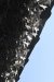 th-2023-12-27-DSC9039