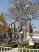 th-2023-12-27-P1100416