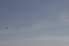 la-2024-01-05-DSC9914