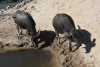 la-2024-01-06-DSC9968