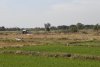 kh-2024-01-08-DSC0185
