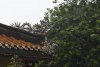vn-2024-12-26_DSC1764