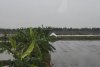 vn-2025-12-26_DSC3909