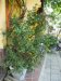 vn-2025-12-31_P1110382