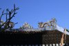 vn-2026-01-01_DSC4298