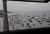 vn-2026-01-06_DSC4484