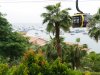 vn-2026-01-06_P1110404