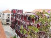 vn-2026-01-06_P1110411