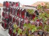 vn-2026-01-06_P1110412
