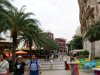 vn-2026-01-06_P1110429