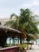 vn-2026-01-06_P1110433
