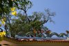 vn-2026-01-07_DSC4644