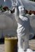vn-2026-01-07_DSC4656
