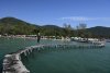 vn-2026-01-07_DSC4754