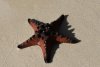 vn-2026-01-07_DSC4766