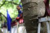 vn-2026-01-09_DSC4823