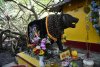 vn-2026-01-09_DSC4828