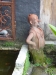 id-sw_2015-01-09-P1100524