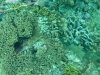 P1090209