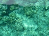 P1090243
