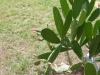 id-sw_2014-12-14-P1090188