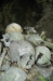 id-sw_2014-12-27-DSC_0131