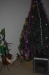 id-sw_2014-12-27-DSC_0203