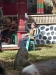 id-sw_2014-12-29-P1090726