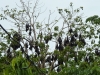 id-sw_2014-12-31-P1090831