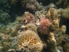 id-sw_2014-12-22-IMG_0011