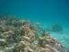 id-sw_2014-12-22-IMG_0111