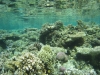 id-sw_2014-12-23-IMG_0011