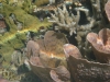 id-sw_2014-12-23-IMG_0041