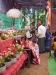 my_2015-12-27-P1120505